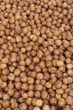 Sol De La Dime Miers