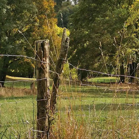 Gasthof Sol De La Dime 3*