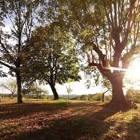 Sol De La Dime Gasthof