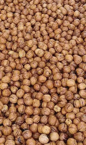 Sol De La Dime Miers