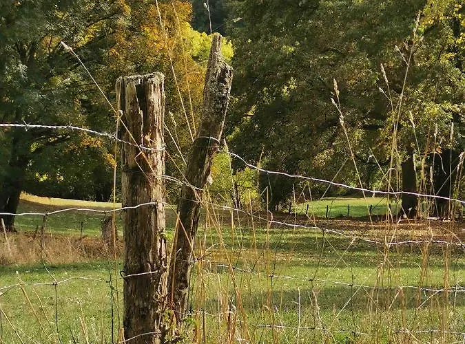 Pensjonat Sol De La Dime 3*