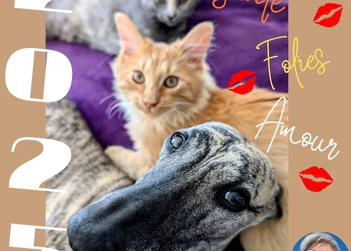 Pensjonat Sol De La Dime 3*