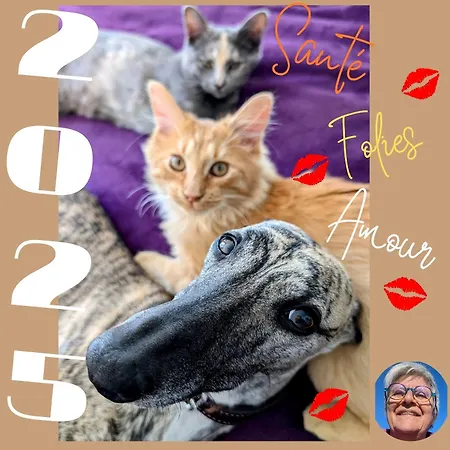 Maison d'hôtes Sol De La Dime 3*